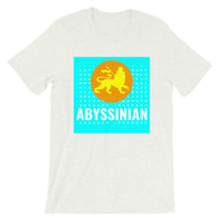 Abyssinian Logo Cyan Background Unisex T-Shirt Abyssinian Kiosk Ethiopian Lion of Judah Amharic Ethiopia Bella Canvas Original Art