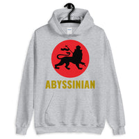 Black Lion Red Circle Unisex Hoodie Ethiopian Lion of Judah Abyssinian Kiosk Abyssinia Ethiopia Apparel Gildan Clothing