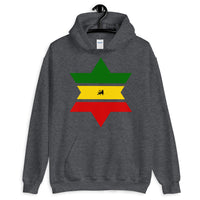 Green, Yellow, Red Star of David Hoodie Abyssinian Kiosk Jewish Falasha Abyssinia Ethiopia Flag Rasta Lion of Judah Apparel Gildan Clothing