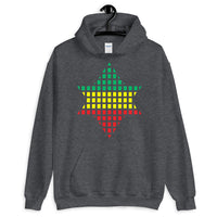 Green Yellow Red Boxes Star of David Unisex Hoodie Abyssinian Kiosk Rectangles Jewish Falasha Abyssinia Ethiopia Gildan Original Art Fashion Cotton Apparel Clothing