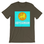 Abyssinian Logo Cyan Background Unisex T-Shirt Abyssinian Kiosk Ethiopian Lion of Judah Amharic Ethiopia Bella Canvas Original Art