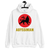 Black Lion Red Circle Unisex Hoodie Ethiopian Lion of Judah Abyssinian Kiosk Abyssinia Ethiopia Apparel Gildan Clothing