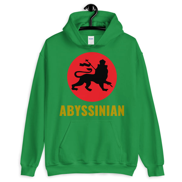 Black Lion Red Circle Unisex Hoodie Ethiopian Lion of Judah Abyssinian Kiosk Abyssinia Ethiopia Apparel Gildan Clothing